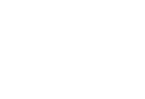 logo DMC blanco
